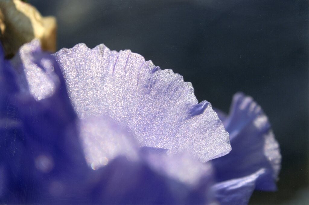 Close up on synthetic purple flower