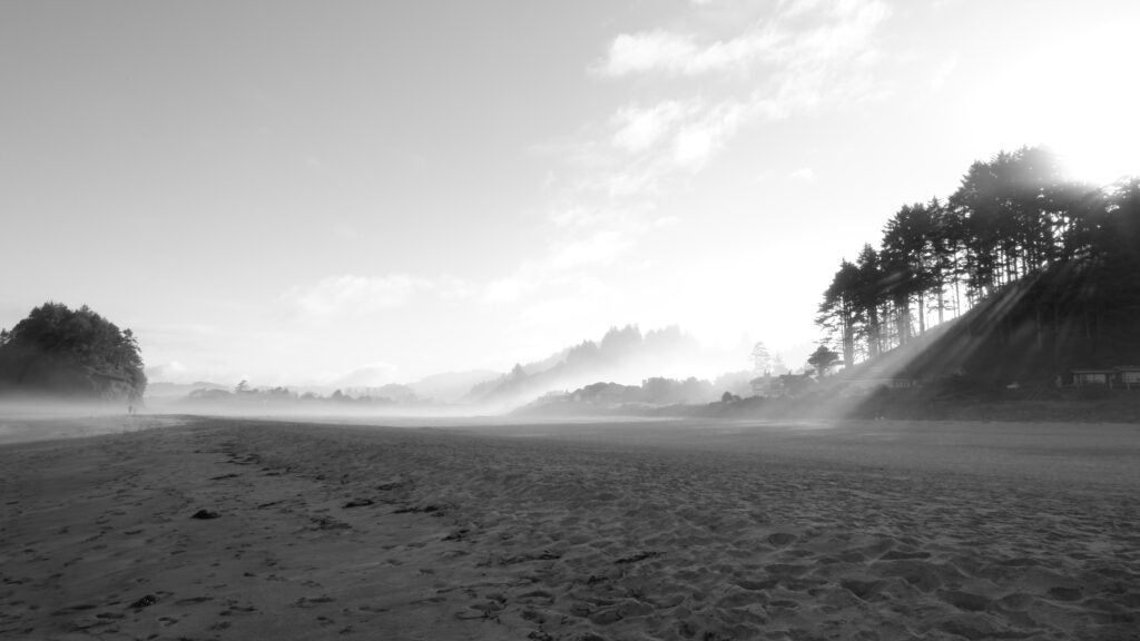 Ruby Landvoigt, 11th Grade, "Morning Mystics"