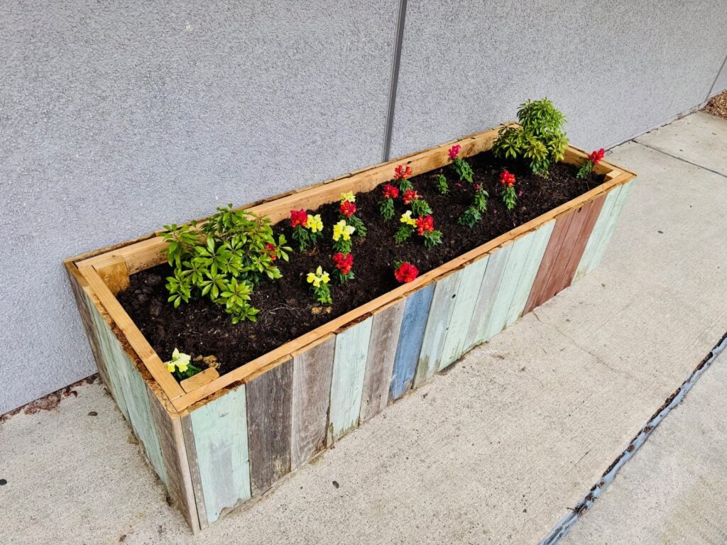 Flower bed built out of reclaimed wood by middle school students
