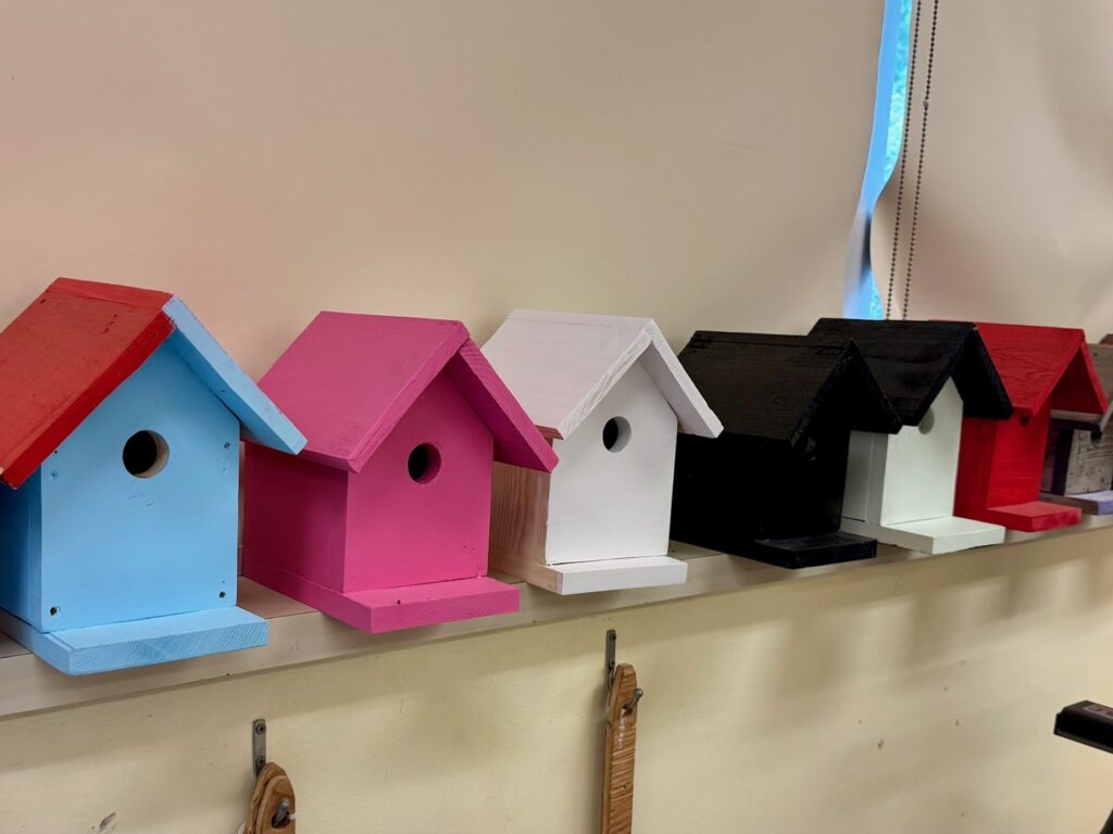 pink, blue, white, black small bird houses with circular windows