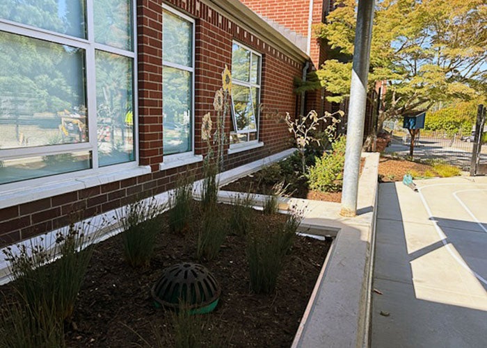 a bio retention planter with a drain between a brick building and a paved sidewalk