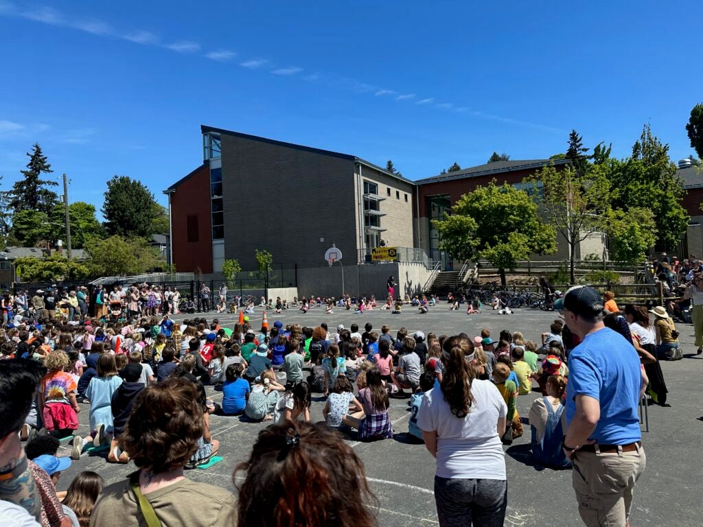 Picture of students watching an outdoor assembly