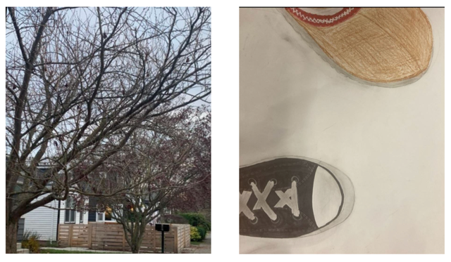 Below left. Isla: The Leaves Fall Soft. In the artist's words this photo illustrates "how two trees are very different and that's OK!"
Below right. Virginia: No Size Fits All. In the artist's words her colored pencil and marker drawing displays "different shoes and different sizes."