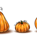 row of multi sized pumpkins