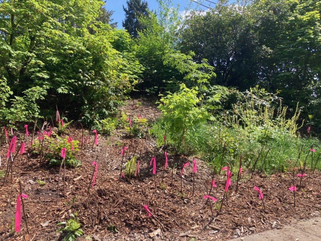 gardens