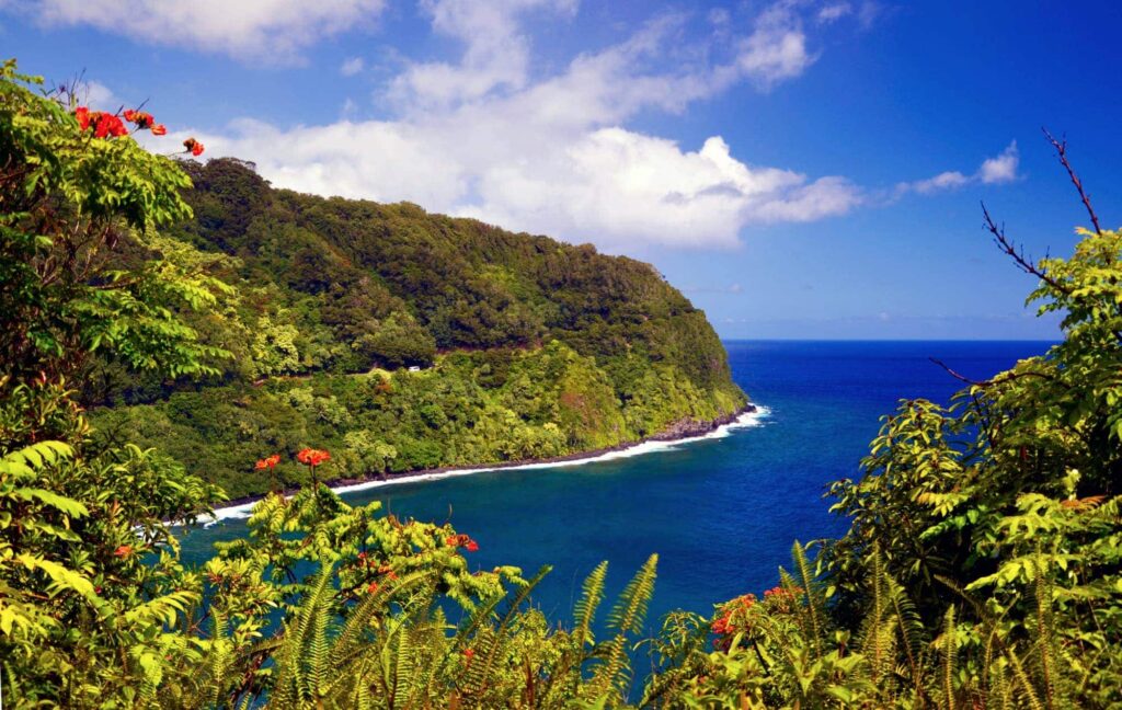Hawaii view Hanna Highway