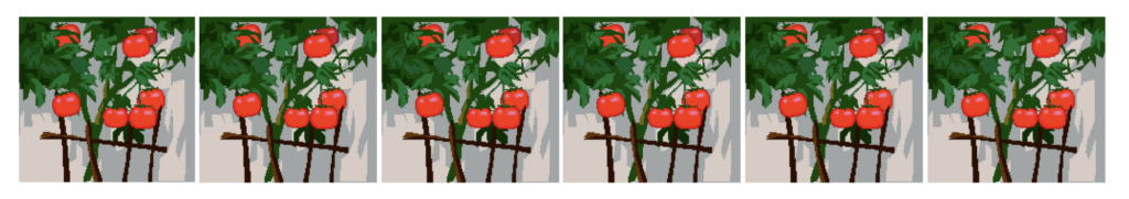 Tomato Plants Banner