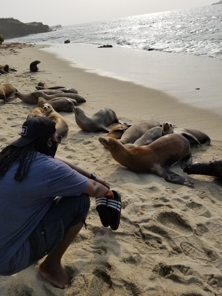 Photo of teacher on beach looking at sea animals