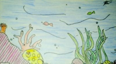 An illustration of under water life with plants and fish