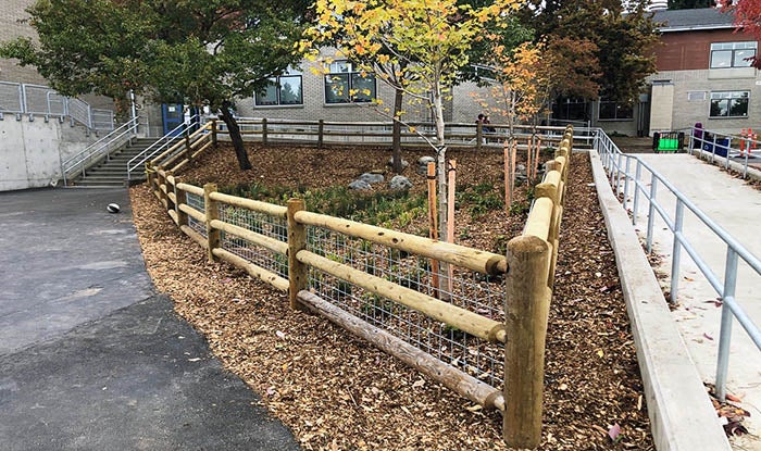 a rain garden between two walkways