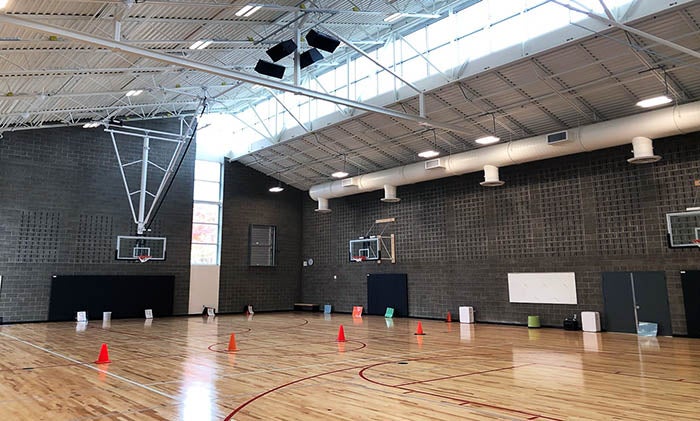 a gymnasium