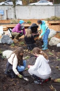 students planting rain garden at Leschi Elementary