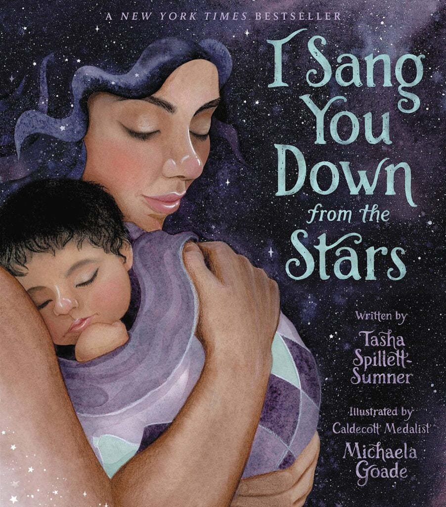 Book cover of "I Sang You Down From the Stars"