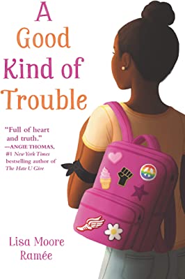 A Good Kind of Trouble book cover