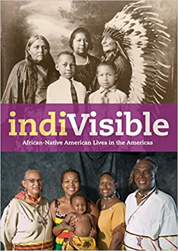 image of IndiVisible book cover