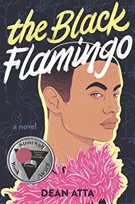 Black Flamingo book cover