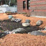 A school garden that has been freshly renewed with bark and new plants
