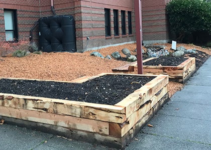Two raised beds in a school garden are ready for planting