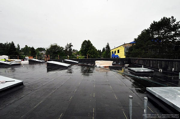 a flat roof with black material and skylights