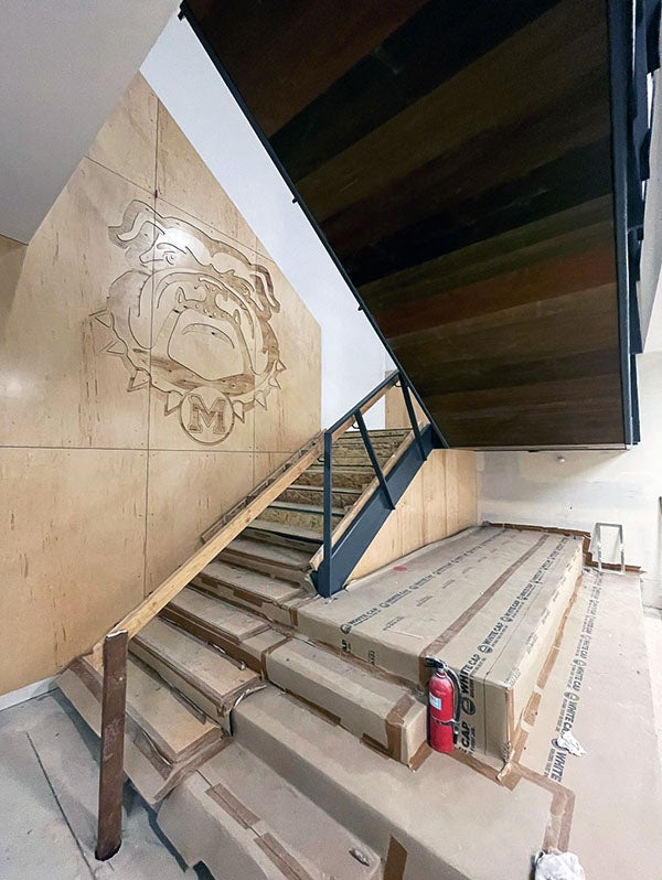 a bulldog carved into a stairway wall