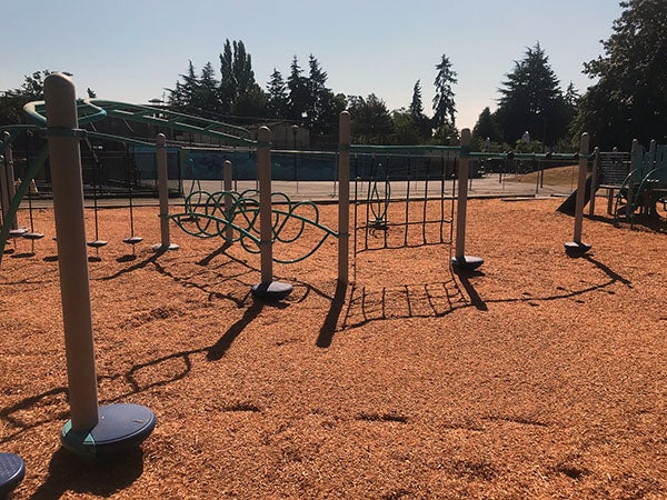 playground equipment surrounded by wood fibers