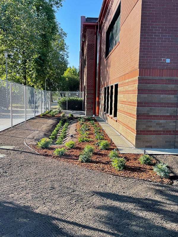 small plants in front of a brick building with soil in front of the garden area