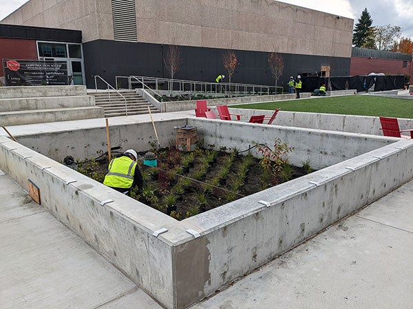 a concrete planter in a concrete pad