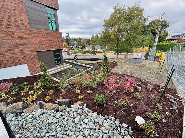 plants and rocks in front of a brick building