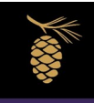 Golden pinecone with black square background. 