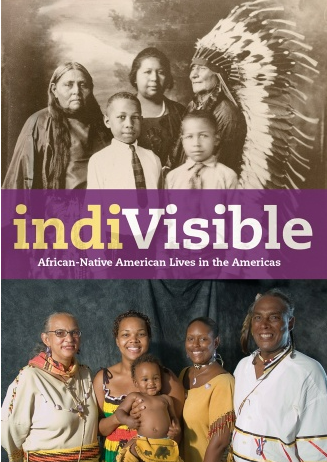 photo of book indiVisible