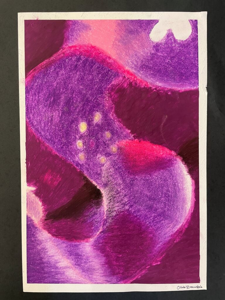 Olivia Braunstein, 7th Grade, "Untitled Oil Pastel Drawing", Drawing