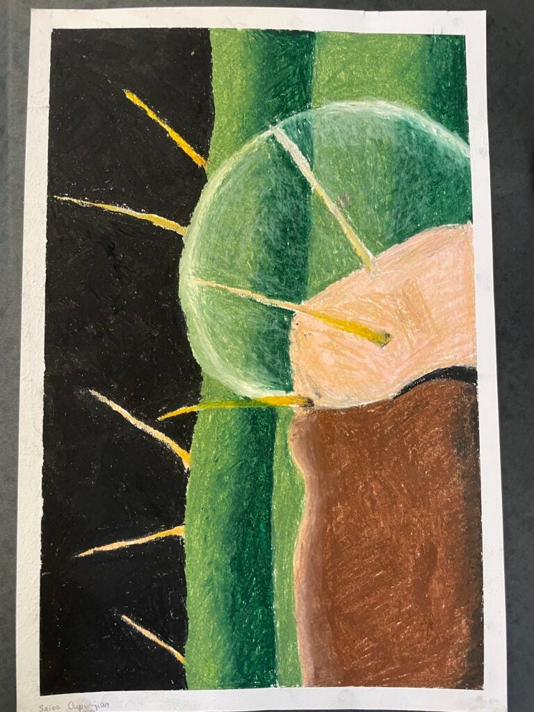 Saioa Kai Ouyoumjian, 7th Grade, "Spiked Water", Drawing