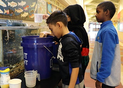 Three students gather by the school fish tank to attend to the salmon.