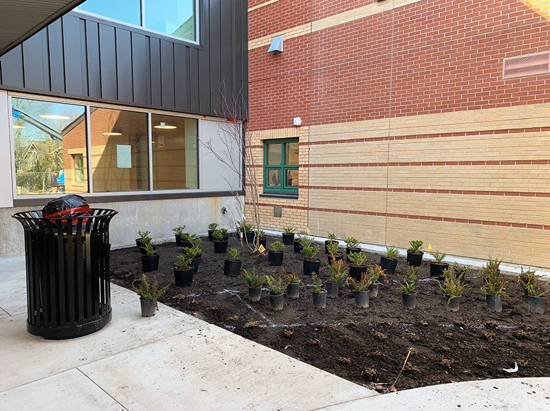 a brick wall and a concrete and steel panel wall form a corner with a garden in front. plants in pots are set onto the soil