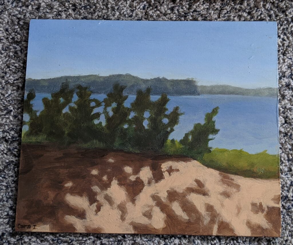 Cara Iftner, 9th Grade, "Duck Lake"