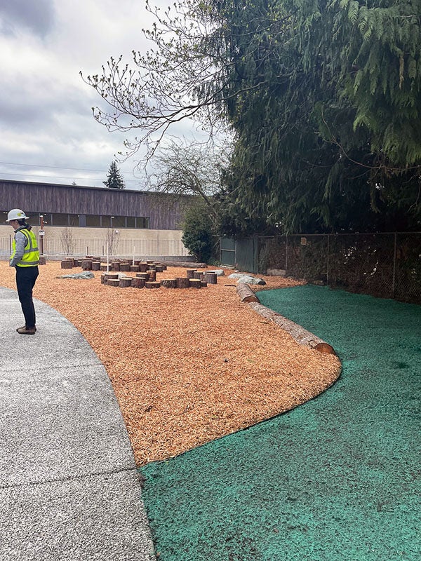 a sidewalk, a mulched area, and a green sprayed soil area abut each other