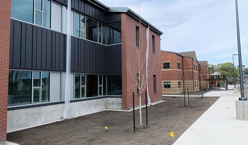 a young tree has bracing in front of a school building