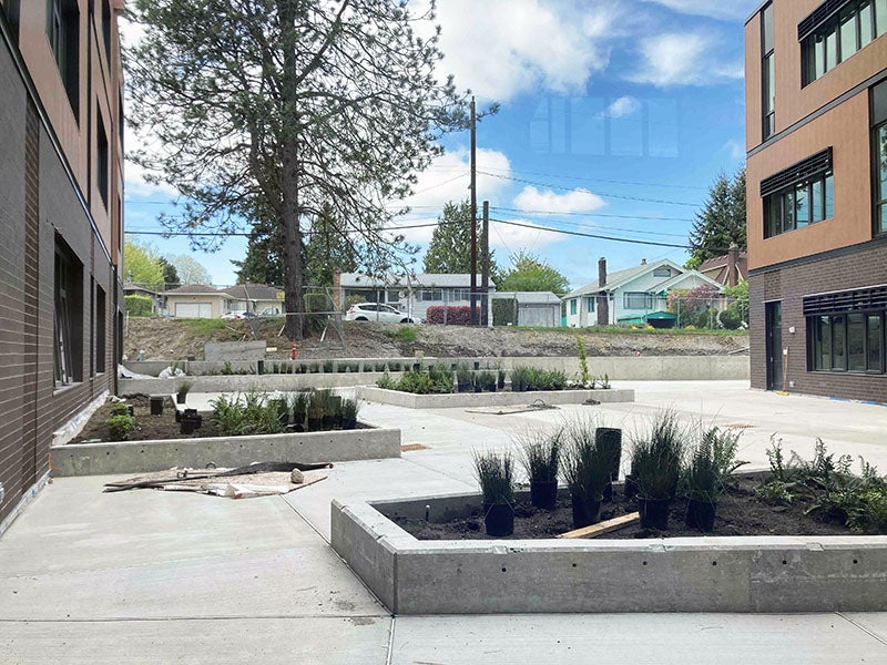 a paved courtyard between two buildings has raised curbed planters