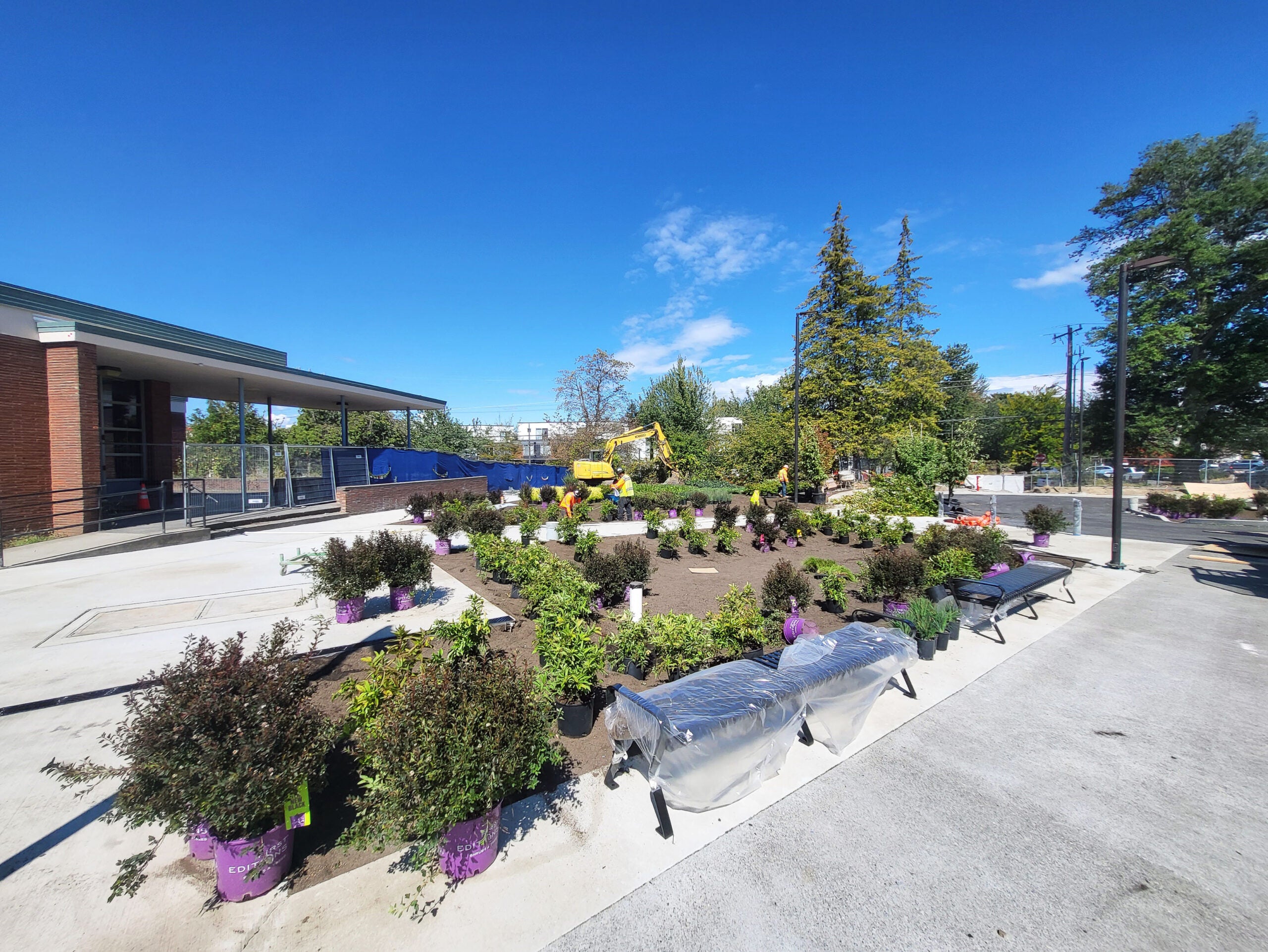 plants in pots sit on a soil area surrounded by concrete. benches covered in plastic are in front