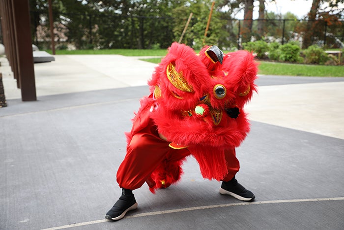 a person in a red lion dancer costume