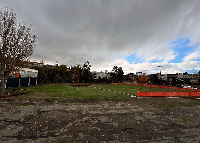 an open area has grass with an orange temporary fabric fence