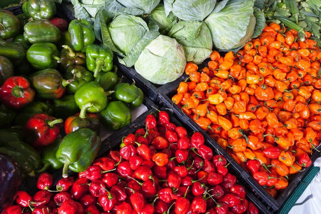 Cabbage and three different kinds of peppers in bins