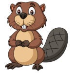 Illustration of Cartoon happy beaver
