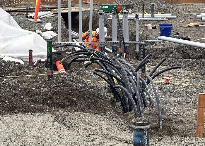 black rubber piping curving out of soil and gravel in a clump