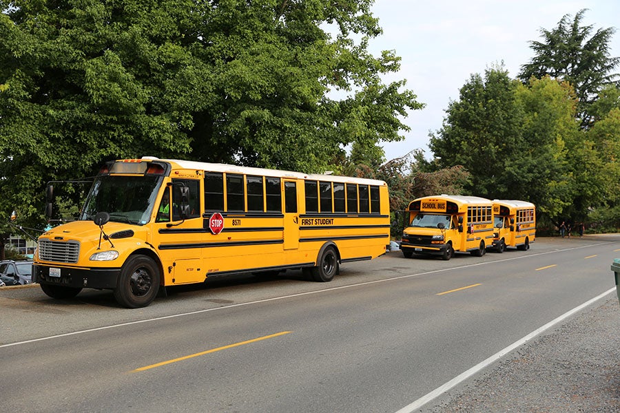 busses parked along the street
