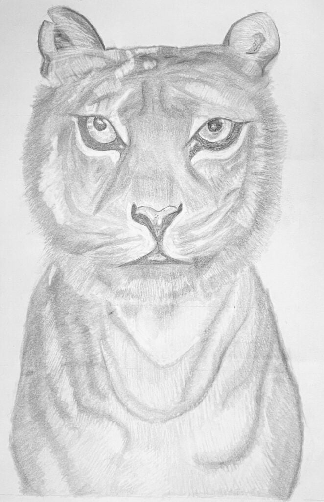 Bathsheba Beyen, 9th Grade, "Tiger Queen"