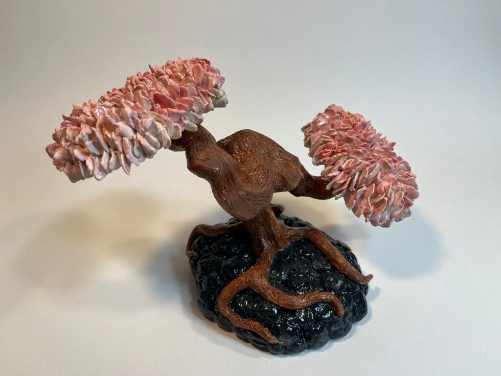 Gavin Borja, 11th Grade, "Grandma's Bonsai"