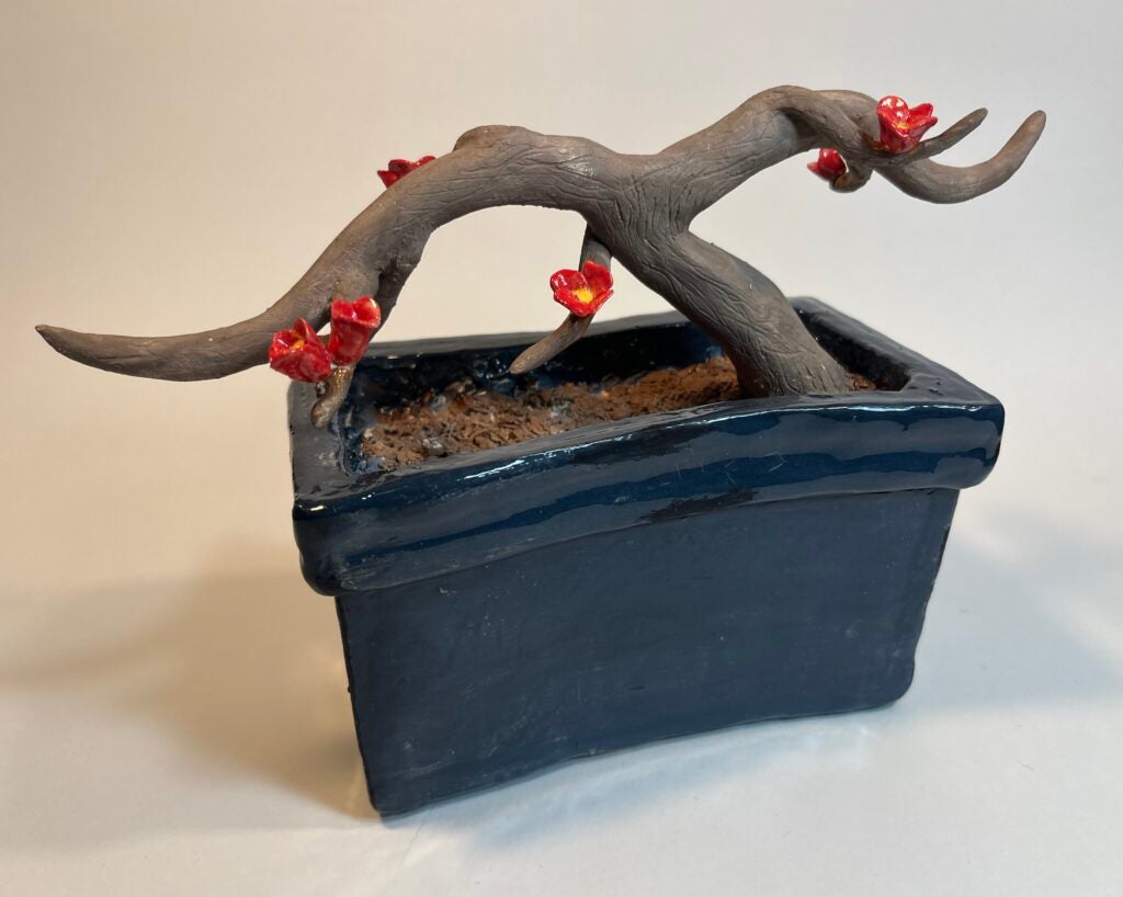 Gavin Borja, 11th Grade, "Mom's Bonsai"