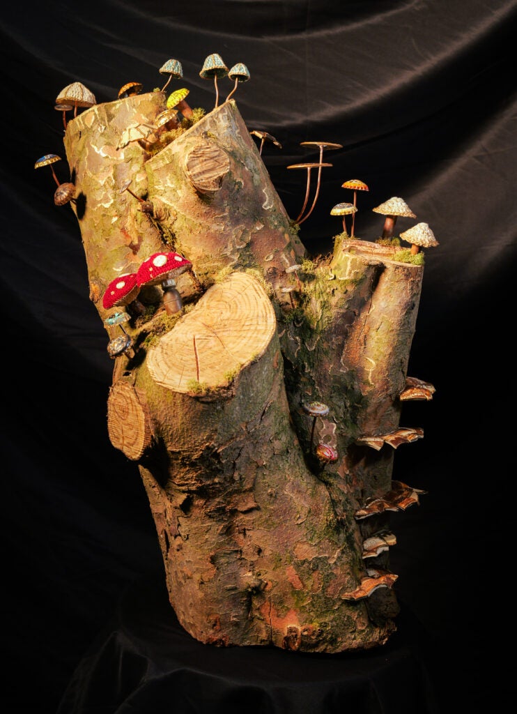 Ari Deering, 12th Grade, "Reclaimed"