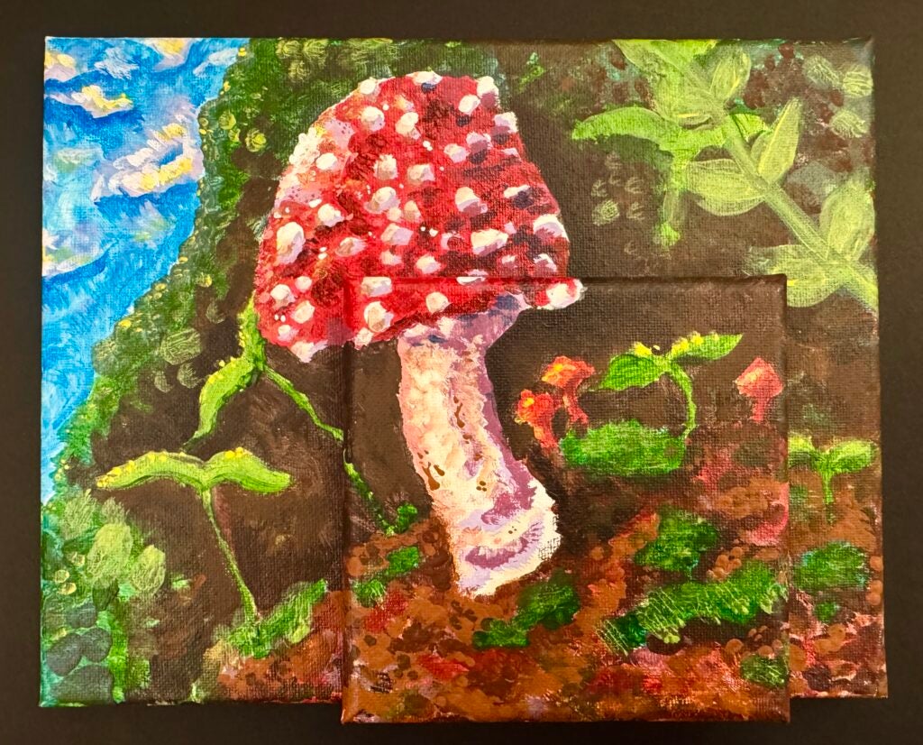 Micah Goodall, 7th Grade, "Amanita muscaria", Painting